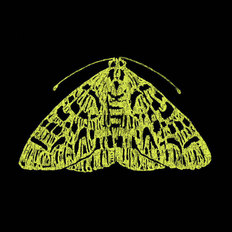 The Moth